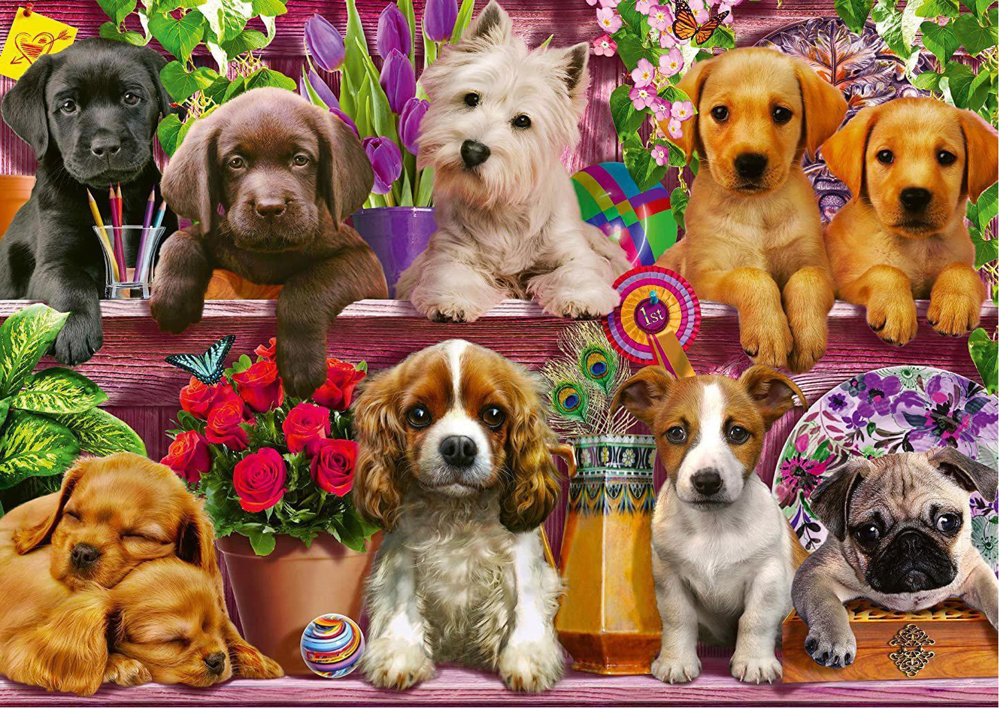 Schmidt Dog in the Shelves 500 Piece Jigsaw Puzzle