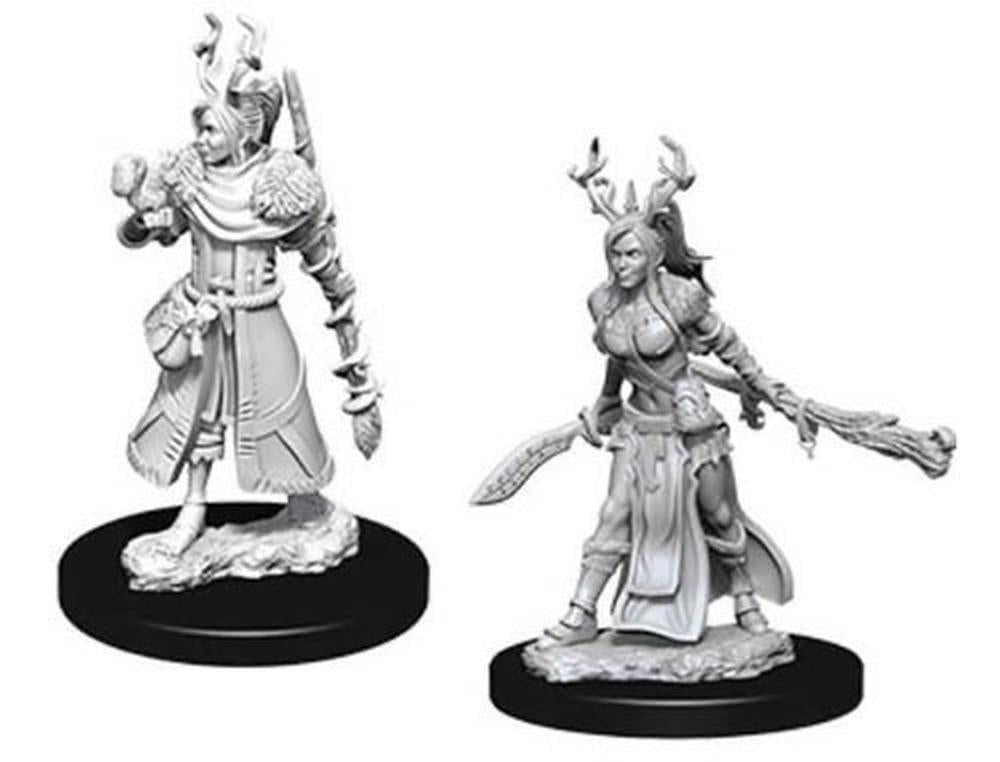 D&D Nolzur's Marvelous Unpainted Miniatures (W9) Female Human Druid