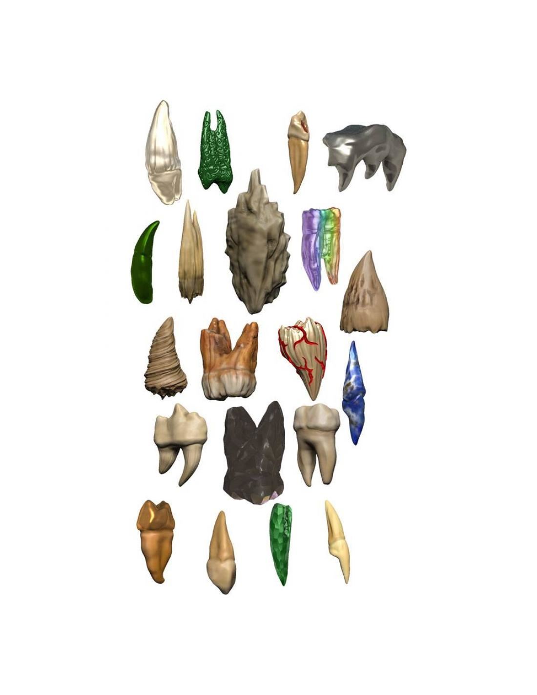 D&D Icons of the Realms: Teeth Of Dahlver-Nar Bite-Sized Artifacts
