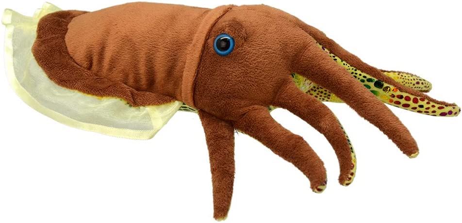 All About Nature Cuttlefish 30cm