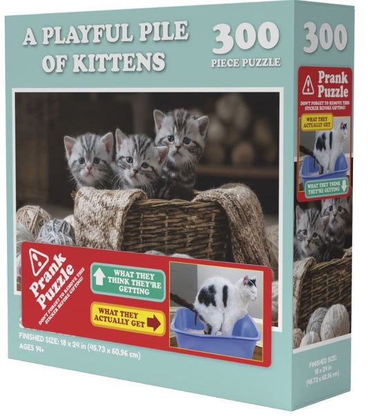 Doing Things Cats Prank 300 Piece Jigsaw Puzzle	