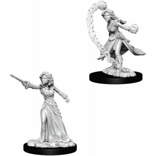 Pathfinder Battles Deep Cuts Unpainted Miniatures (W1) Female Human Wizard