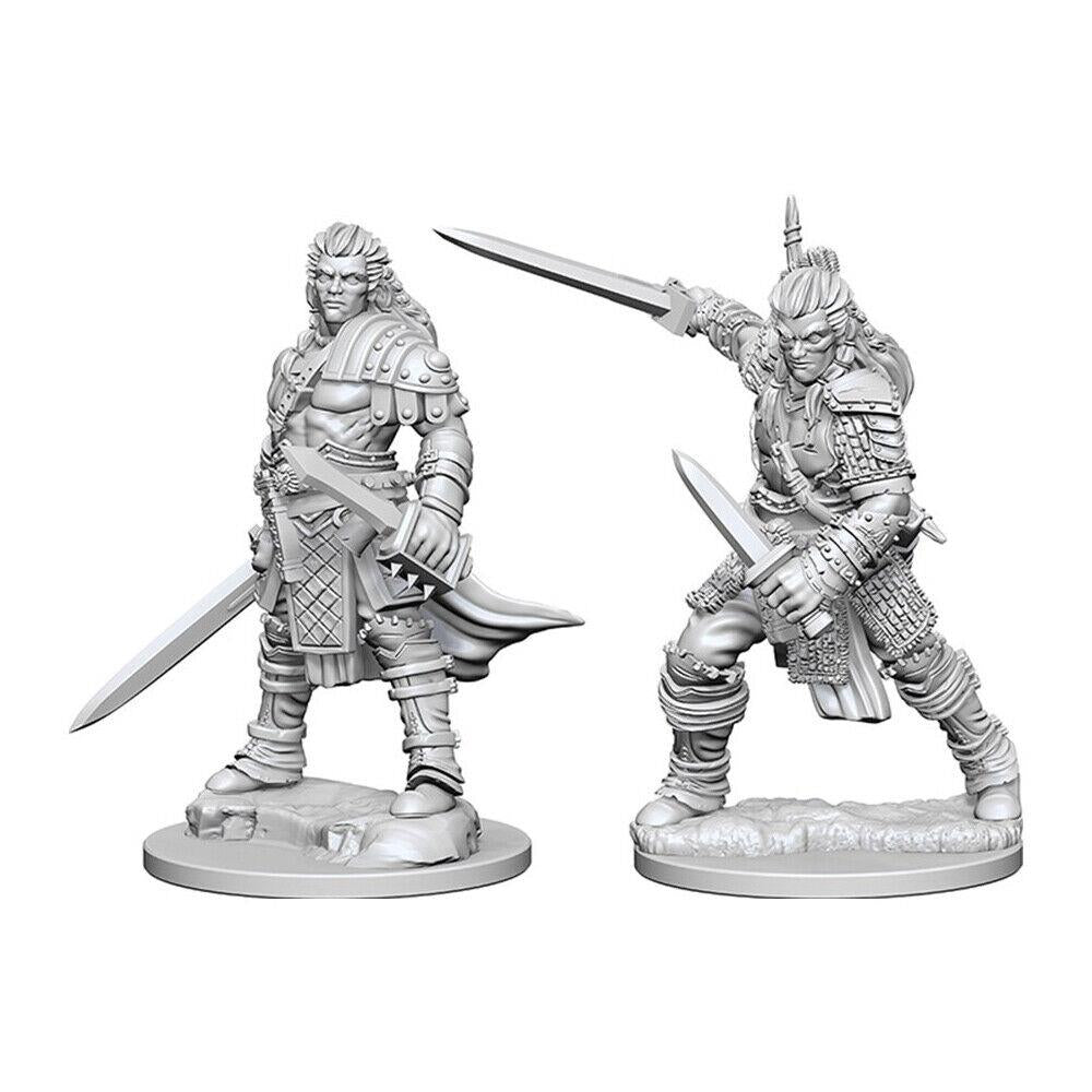 Pathfinder Deep Cuts Unpainted Miniatures (W1) Human Male Fighter