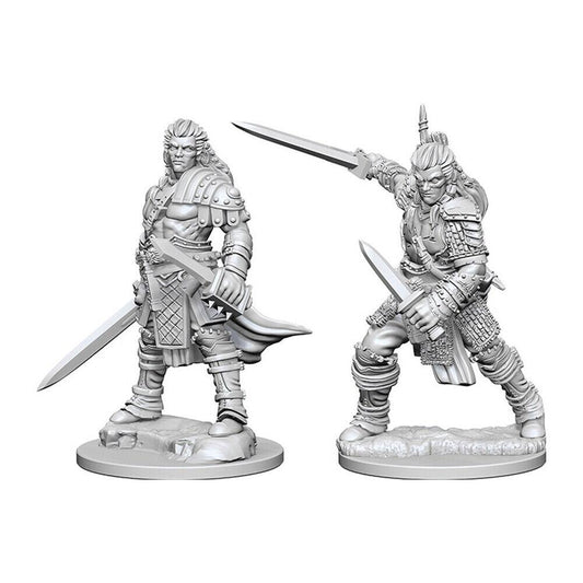 Pathfinder Deep Cuts Unpainted Miniatures (W1) Human Male Fighter