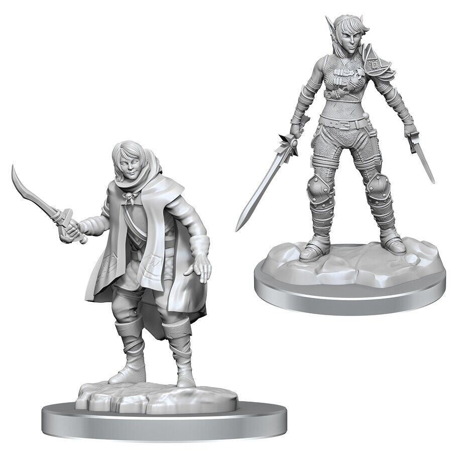 D&D Nolzur's Marvelous Unpainted Miniatures: Elf Rogue & Half-Elf Rogue Protege