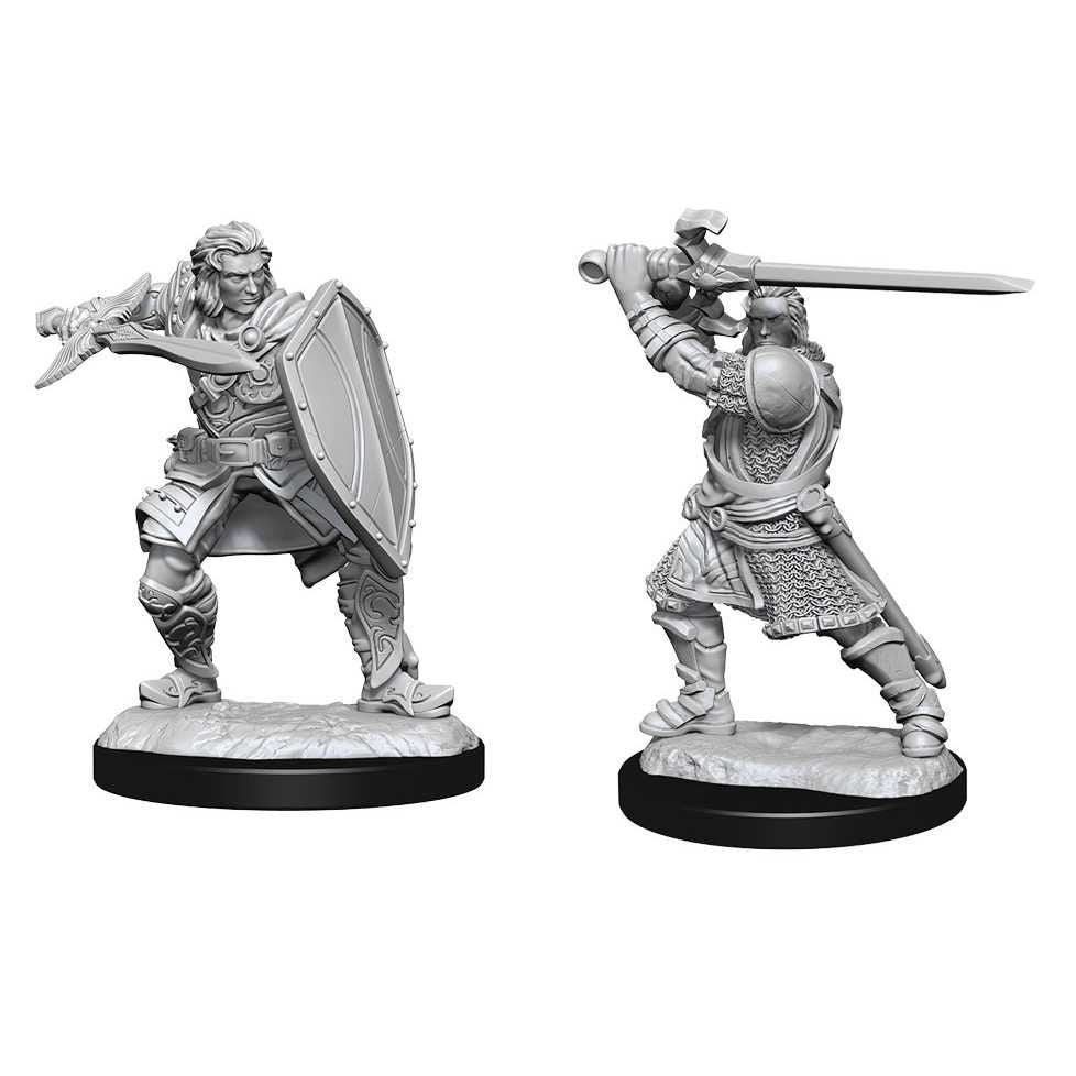 D&D Nolzur's Marvelous Unpainted Miniatures (W14) Human Paladin Male