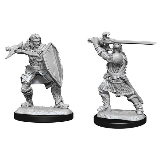 D&D Nolzur's Marvelous Unpainted Miniatures (W14) Human Paladin Male