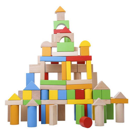 Tooky Toy Wooden Blocks - 100 Blocks
