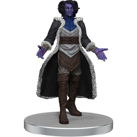 Critical Role PrePainted The Tombtakers Boxed Set