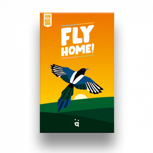 Fly Home Card Game