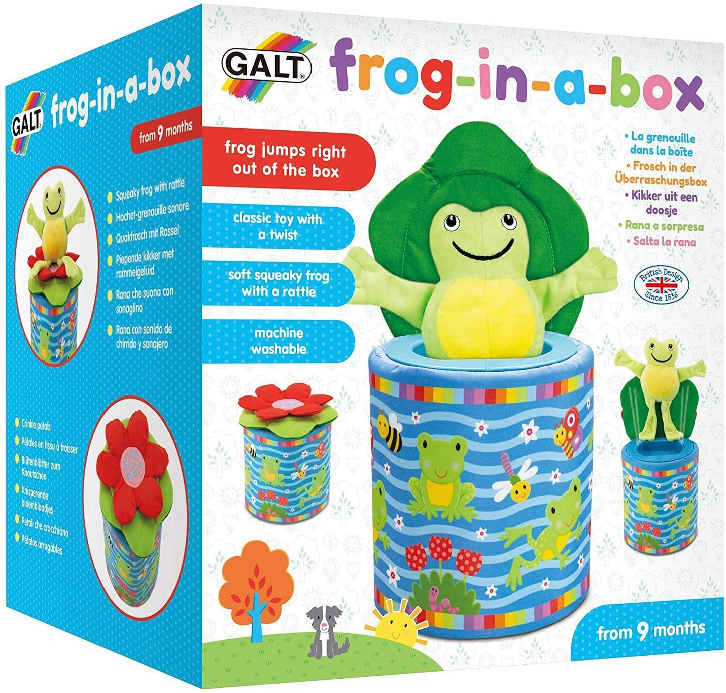 Galt Toys - Frog in a Box Toy