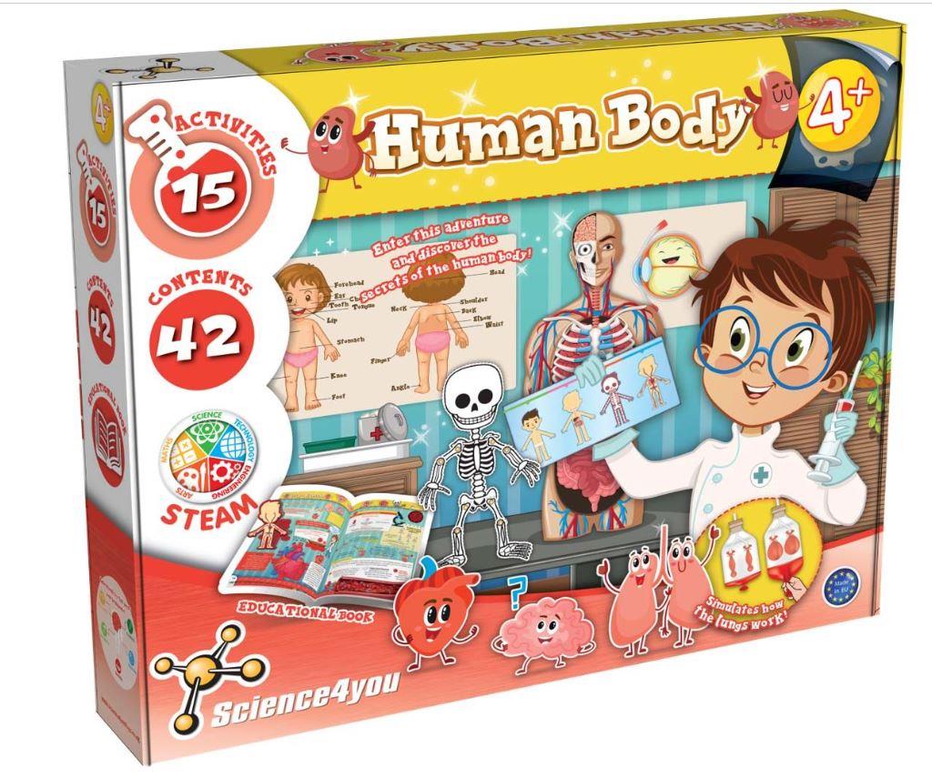 Science 4 You Human Body