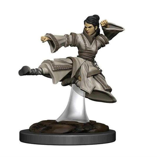 D&D Icons of the Realms Premium Figures (W4) Human Monk Female