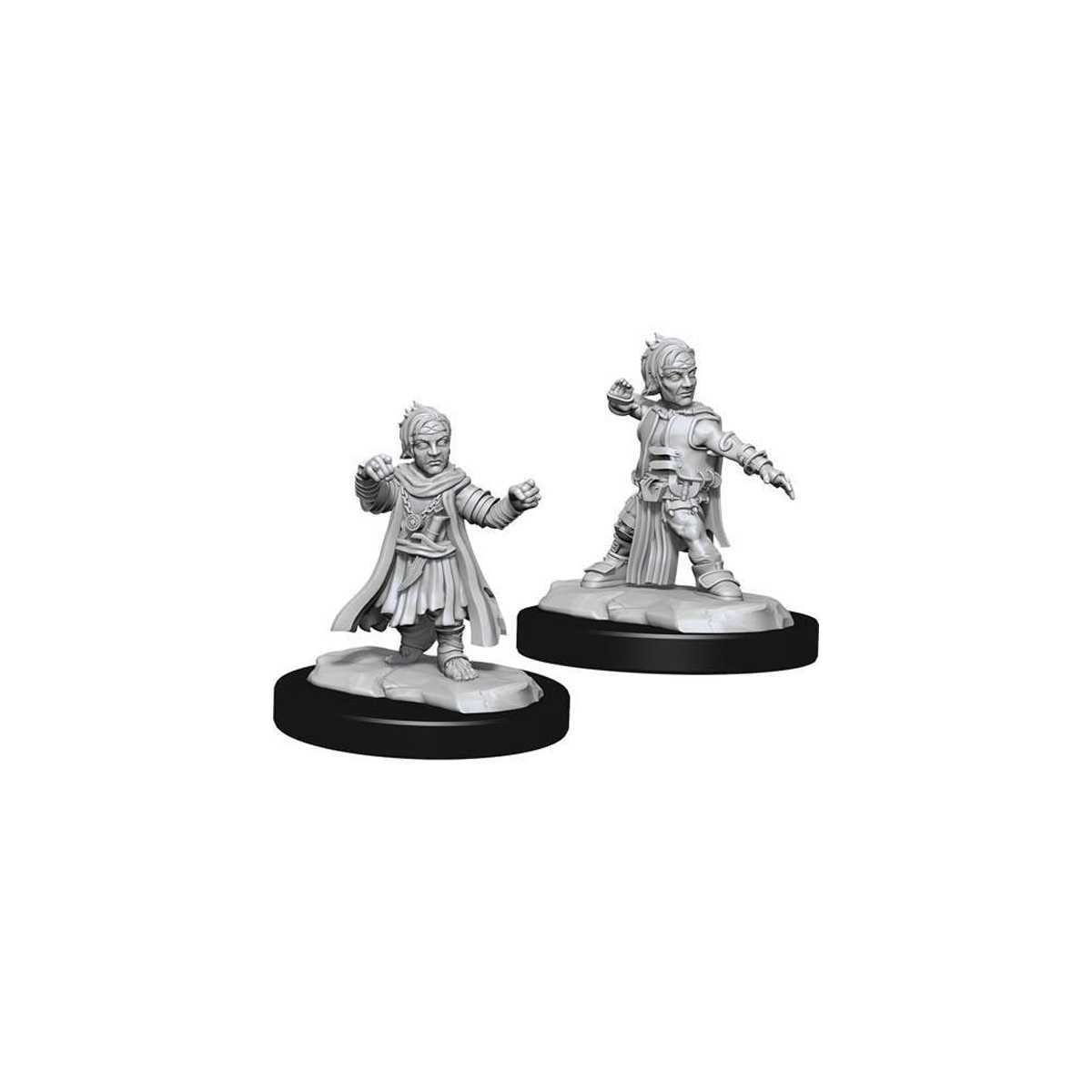 Pathfinder Battles Deepcuts: Halfing Monk Male Unpainted Miniature