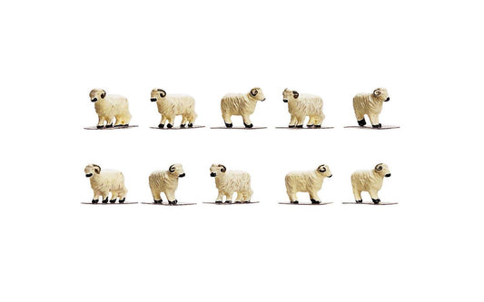 Hornby Sheep Model