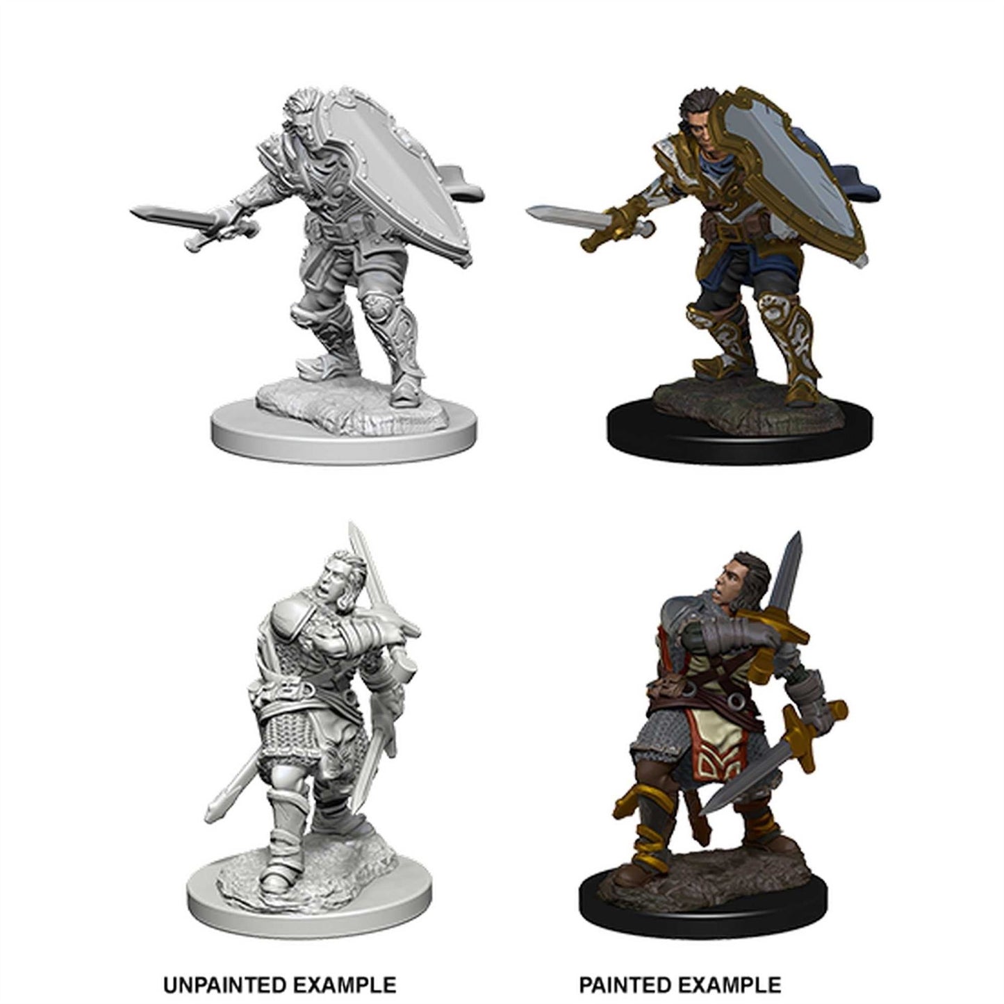 D&D Nolzur's Marvelous Unpainted Miniatures (W3) Human Male Paladin