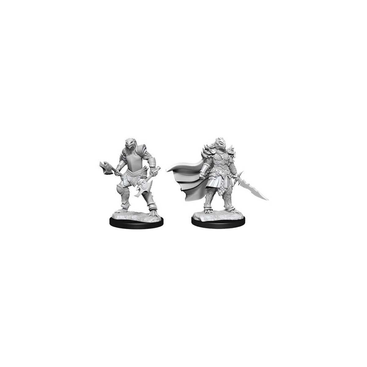 D&D Nolzur's Marvelous Unpainted Miniatures (W15) Dragonborn Fighter Female