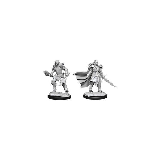 D&D Nolzur's Marvelous Unpainted Miniatures (W15) Dragonborn Fighter Female
