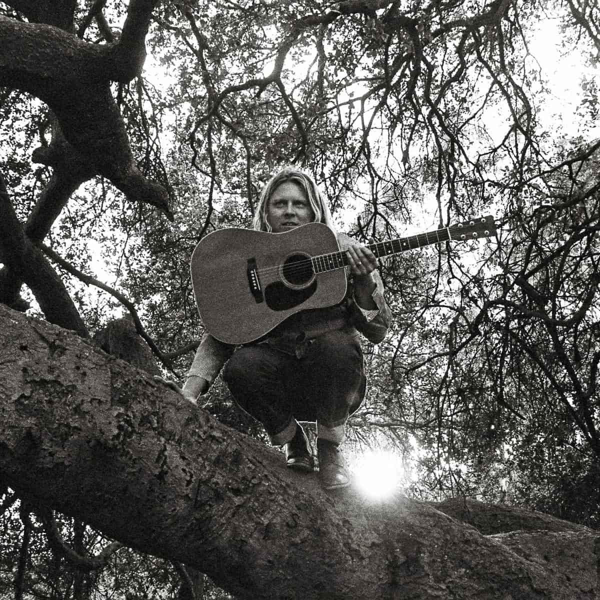 Ty Segall - "Hello, Hi" Vinyl
