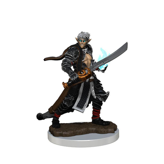 Pathfinder Painted Premium Male Elf Magus