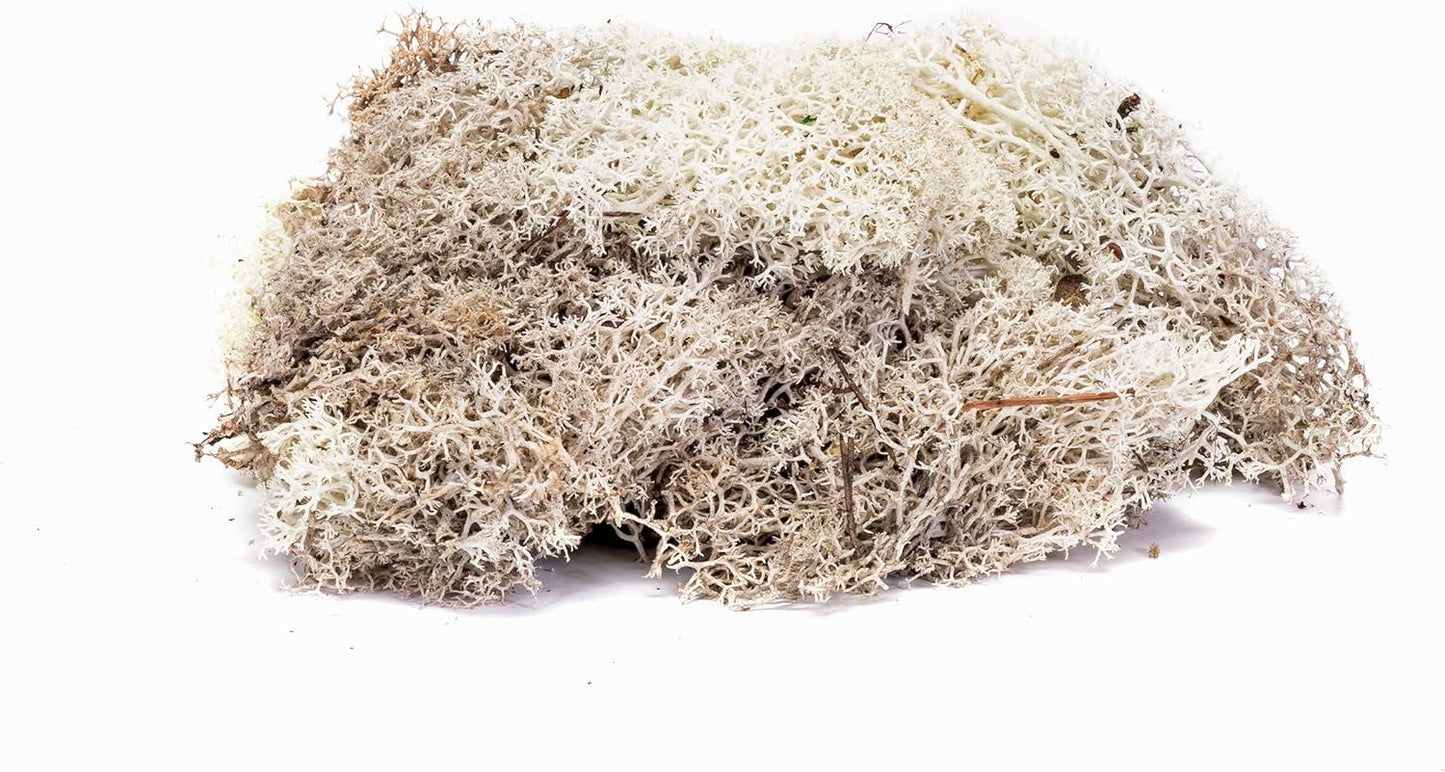 Hornby Lichen - Stone Grey