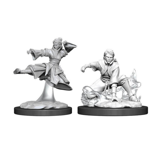 Dungeons & Dragons Nolzur's Marvelous Unpainted Miniatures (W11) Female Human Monk