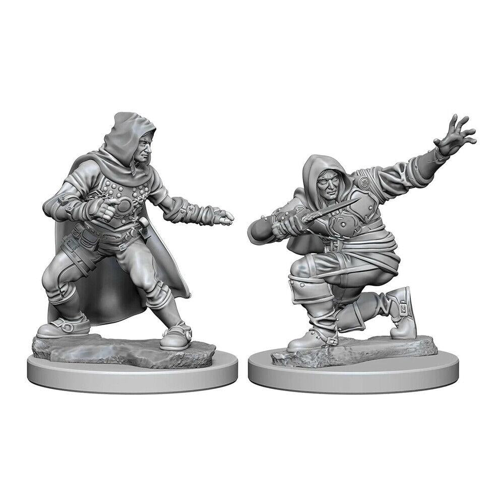 Pathfinder Deep Cuts Unpainted Miniatures (W1) Human Male Rogue