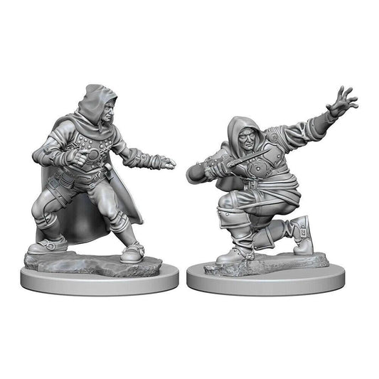 Pathfinder Deep Cuts Unpainted Miniatures (W1) Human Male Rogue