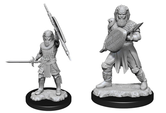 D&D Nolzur's Marvelous Unpainted Miniatures (W13) Human Fighter Male