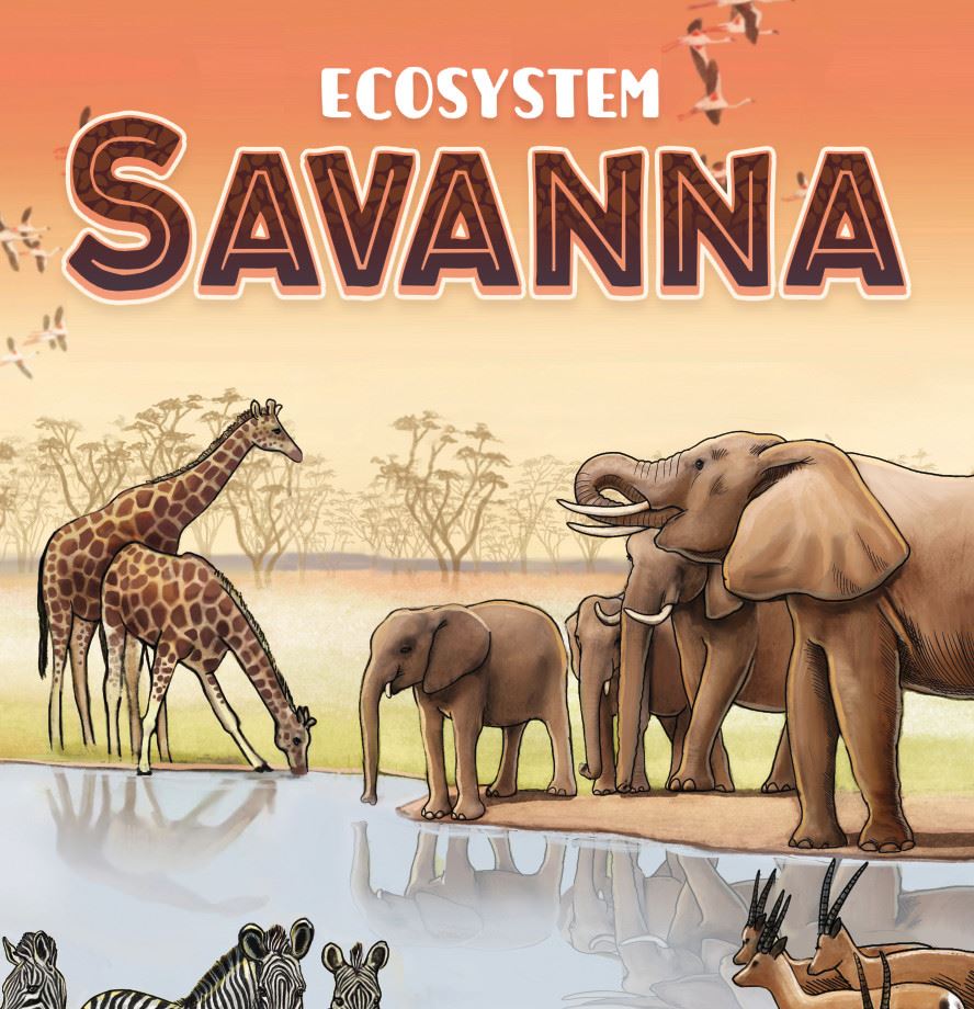 Ecosystem: Savanna Card Game