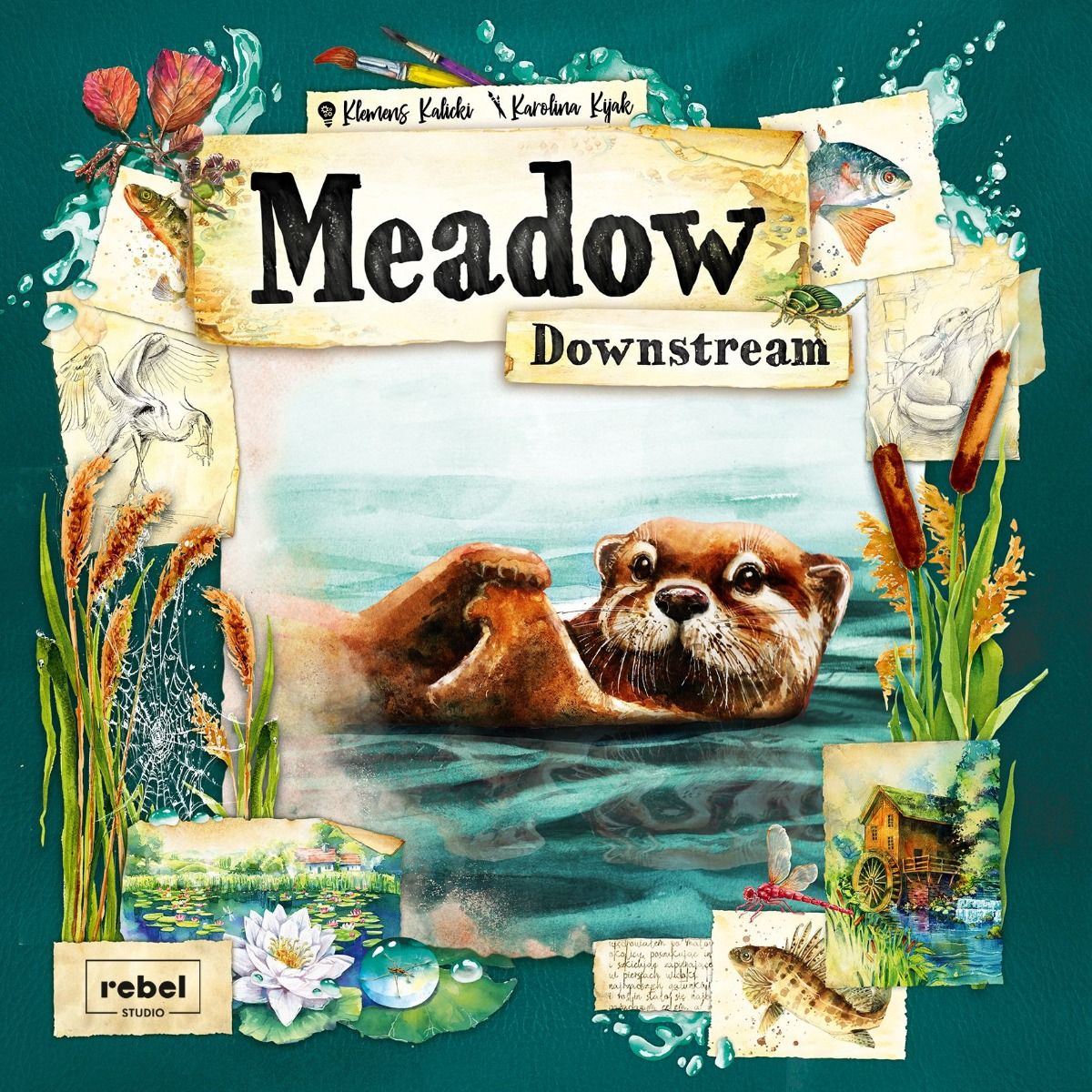 Meadow: Downstream Expansion Board Game